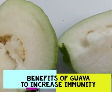 Benefits of guava to increase immunity