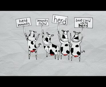 Is 'herd immunity' needed to beat COVID-19?