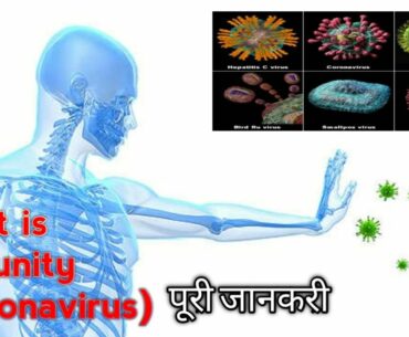 What is IMMUNITY (coronavirus)||HOW IMMUNITY WORKS||TYPES OF IMMUNITY IN HINDI|| immunity kya hoti h