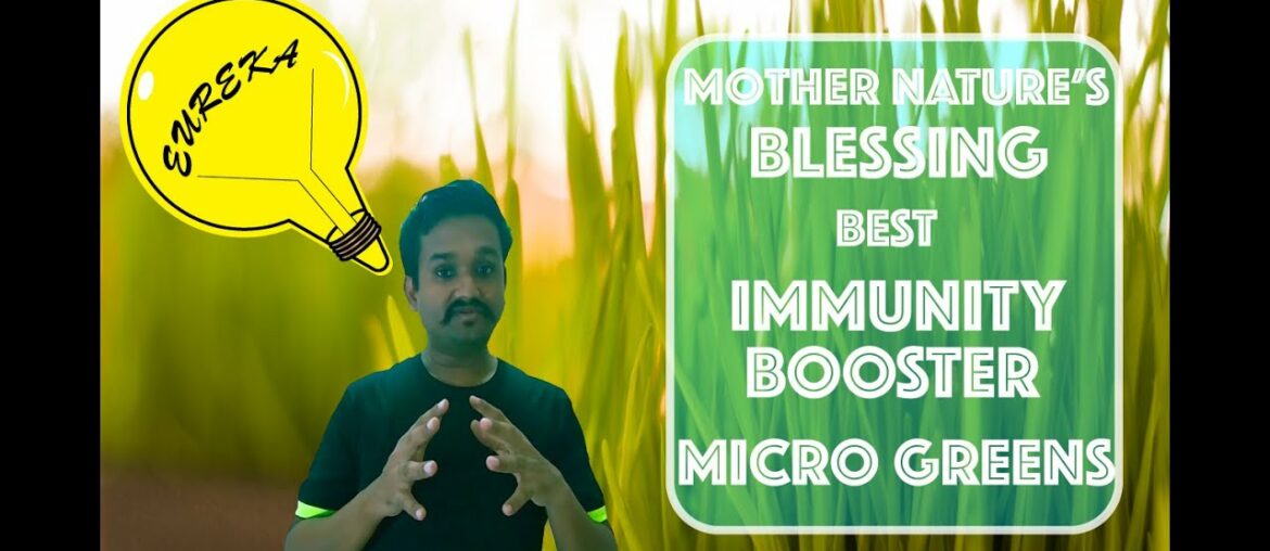 SHOCKING - NATURE's BEST IMMUNITY booster right in your KITCHEN - MICROGREENS-unravelling SECRETS!!!