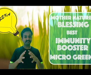 SHOCKING - NATURE's BEST IMMUNITY booster right in your KITCHEN - MICROGREENS-unravelling SECRETS!!!