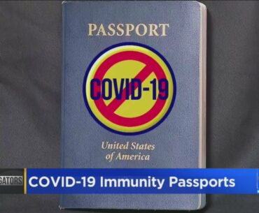 Immunity Passports For COVID-19? Bioethicist Has Doubts