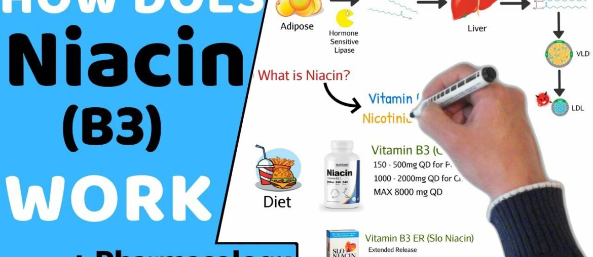 How does Niacin (B3) Work? (+ Pharmacology)