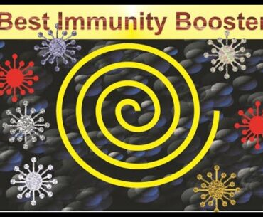 Immunity sabse jaldi badaiye | Highest Immunity Booster | Success Stamp International | MIlifeStyle