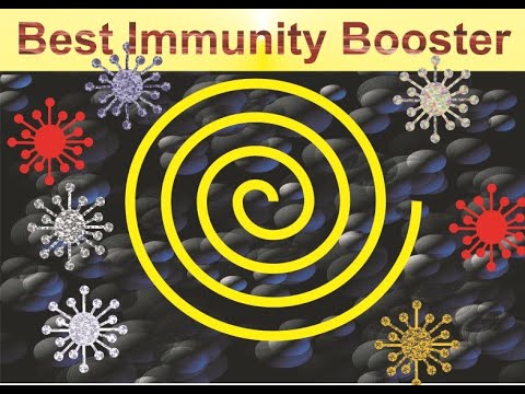 Immunity sabse jaldi badaiye | Highest Immunity Booster | Success Stamp International | MIlifeStyle