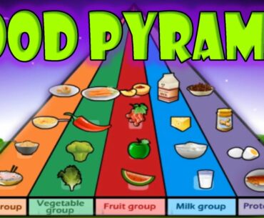 Nutrition, Food Pyramid, Healthy Eating, Educational Videos for Kids, Funny Game for Children