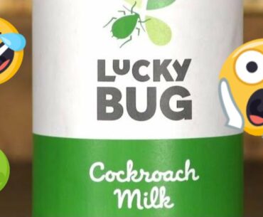 LuckyBug Cockroach Milk by LuckyVitamin