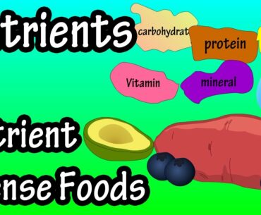 What Are Nutrients - What Is Nutrient Density - What Are Nutrient Dense Foods?