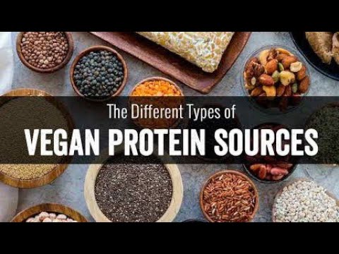 Vegan Protein Sources | vegetarian | Food | Diet |Guri