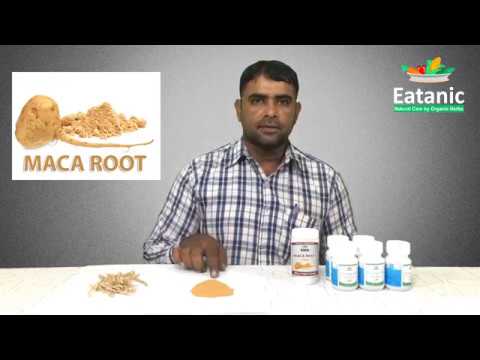 Maca Root Benefits in Urdu, Original Organic Maca Root Powder Buy Online in Pakistan - Eatanic