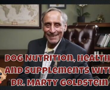 Dr. Marty Goldstein on Why Our Dogs Need Supplements