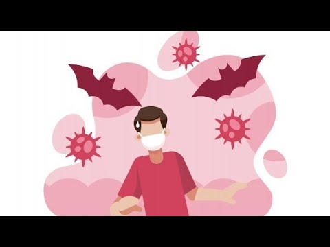 Bat's Super Immunity may explain How Bats Carry Corona virus - Video Lecture - Nerdy Scientists