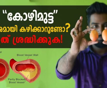 | How Many Eggs is It Safe To Eat per Day?  | Malayalam |Certified Fitness Trainer Bibin