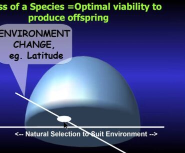 Paleolithic Nutrition: Sunshine and Vitamin D by Dr. Reinhold Vieth