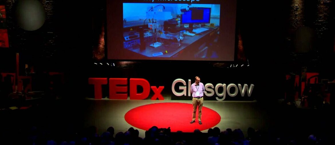 The immune system: looking for love in all the right places | Jim Brewer | TEDxGlasgow