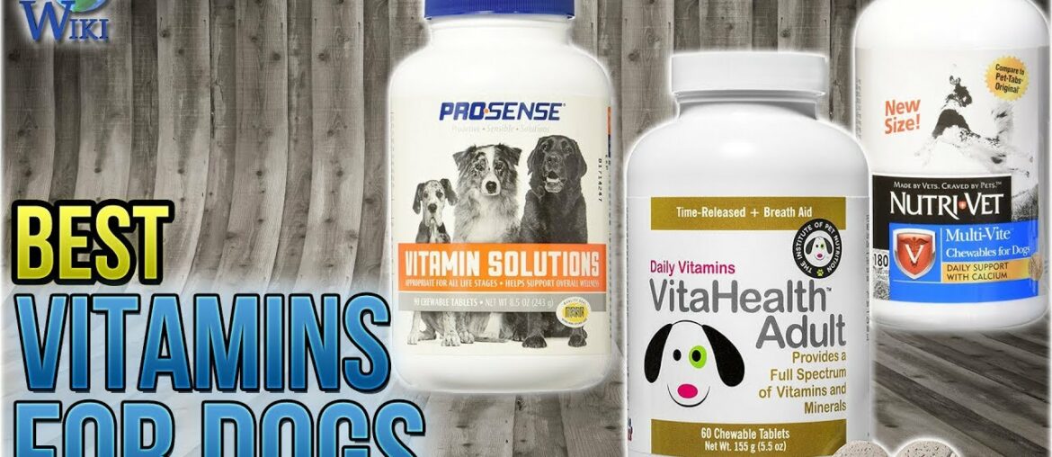 10 Best Vitamins for Dogs 2018