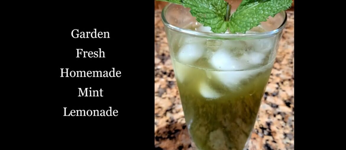 Fresh Homemade Mint Lemonade/COVID19 Immune booster/Nutrient rich Weight Loss mint drink