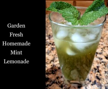 Fresh Homemade Mint Lemonade/COVID19 Immune booster/Nutrient rich Weight Loss mint drink