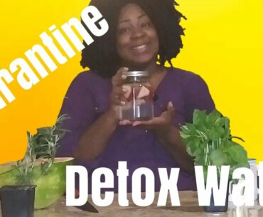 Immune Boosting Detox Water for Quarantine, My Top 3 Picks