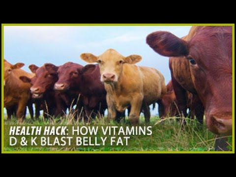 How Vitamins D & K Blast Belly Fat: Health Hacks- Thomas DeLauer