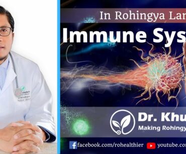 Immune system: How to boost our immune system and fight against COVID-19 (In Rohingya Language)