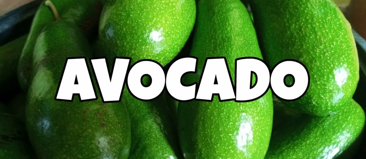 AVOCADO PROVEN HEALTH BENEFITS || Mcjhai Believer