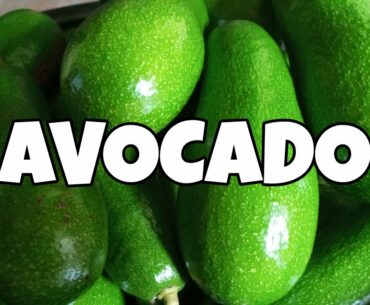 AVOCADO PROVEN HEALTH BENEFITS || Mcjhai Believer