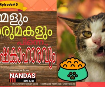 Awesome Tips for Feeding Your Cats | Essential Nutrients For Cats | Nandan Pets&Us | Vanaja Subash