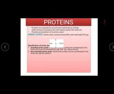 Biomolecules- proteins and vitamins