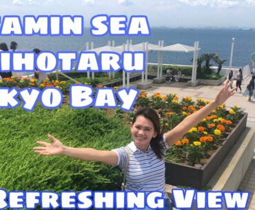 Refreshing View para sa stressful na covid19 | Vitamin Sea | Umihotaru Tokyo bay