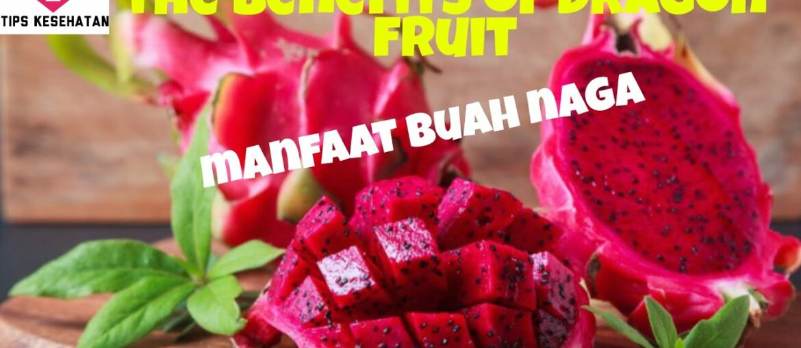 #buahnaga manfaat buah naga bagi kesehatan|khasiat yang luar biasa..