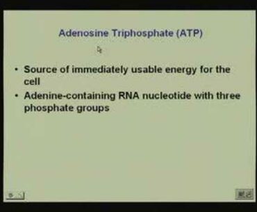 Lecture - 18 Vitamins and Coenzymes 1