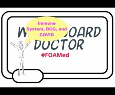 Understanding The Immune System Through COVID-19 And The BCG Vaccine.