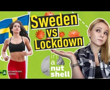 Is Sweden's no-lockdown Covid response a BIG mistake? | In a Nutsell