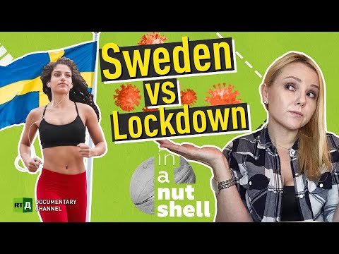 Is Sweden's no-lockdown Covid response a BIG mistake? | In a Nutsell