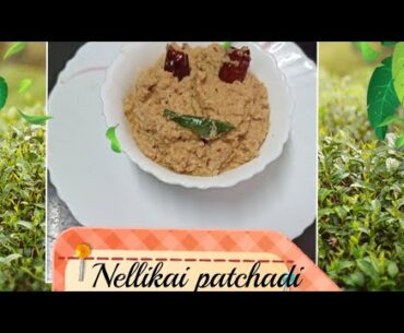 Vitamin C rich food / Nellikai patchadi /Amla patchadi with a unique taste