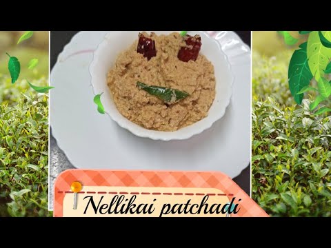 Vitamin C rich food / Nellikai patchadi /Amla patchadi with a unique taste