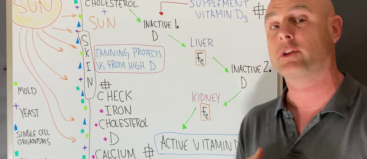 Vitamin D (sun & supplement), Iron, Cholesterol, Skin Microbiota