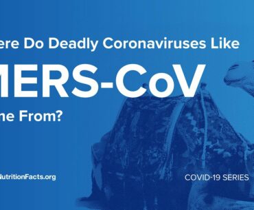 Where Do Deadly Coronaviruses Like MERS CoV Come From?