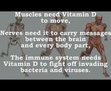 Vitamin D Immune System  Muscle Function  Cell Growth  Inflammation  Nerve  Calcium  Bones  UV