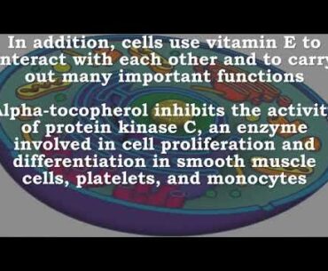 Vitamin E Immune Function  Cell Signaling  Gene Expression  Widens Blood Vessels  Bacteria  Virus