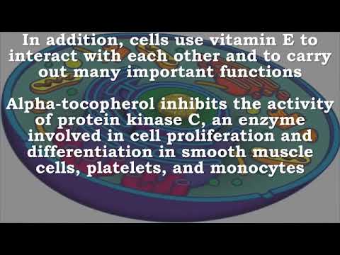 Vitamin E Immune Function  Cell Signaling  Gene Expression  Widens Blood Vessels  Bacteria  Virus