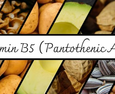 Everything You Need To Know About Vitamin B5 (Pantothenic Acid) | Vitamin Series