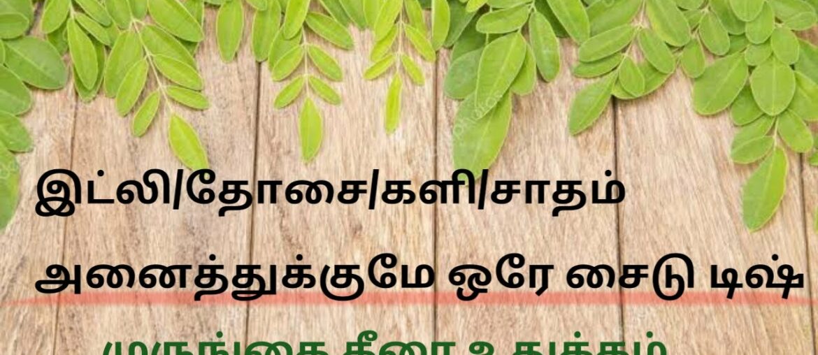 MURUGNAI KEERAI/ DRUM STICK LEAVES/ HEALTHY SIDE DISH IN TAMIL/IRON/VITAMIN C RICH/IMMUNITY BOOSTER