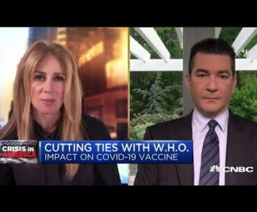 Expect Covid-19 vaccine to be seasonal like the flu shot: Former FDA chief