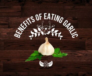 Health Benefits of Garlic | Advantages of Consuming Garlic