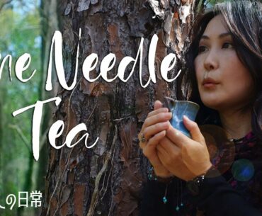 Pine Needle Tea/ Tea that Smells like Forest - Purify Blood, Boost Immune System