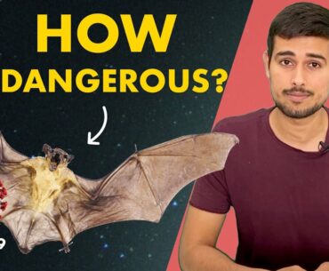 Coronavirus Source: Truth about Bats |  Dhruv Rathee