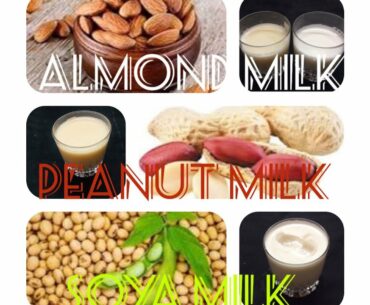 Amond Milk- Peanut Milk- Soya Milk I Diet Milk l No Dairy l Fitness Milk l High Nutrition Low Fat