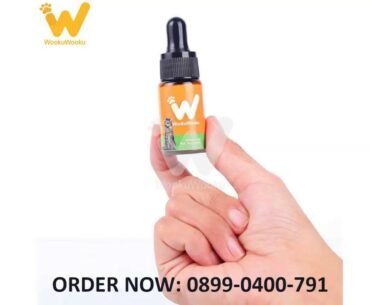 JUAL WOOKU WOOKU ORIGINAL VITAMIN KUCING - 08990400791